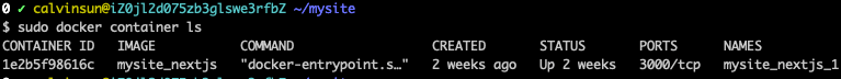 my-website-docker-container-ls