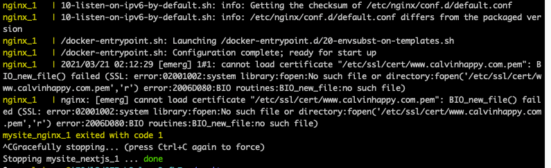 my-website-nginx-docker-error-log