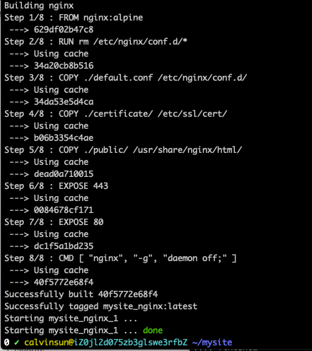 my-website-nginx-docker-log