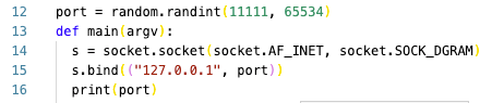 python-child-program-print-port